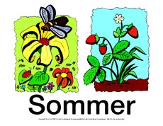 Schild-Sommer-8.pdf